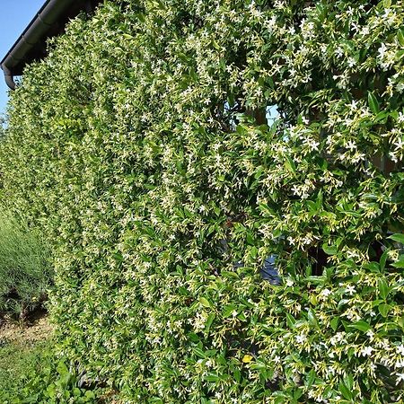 فيلا House Barizoni أنكاران المظهر الخارجي الصورة