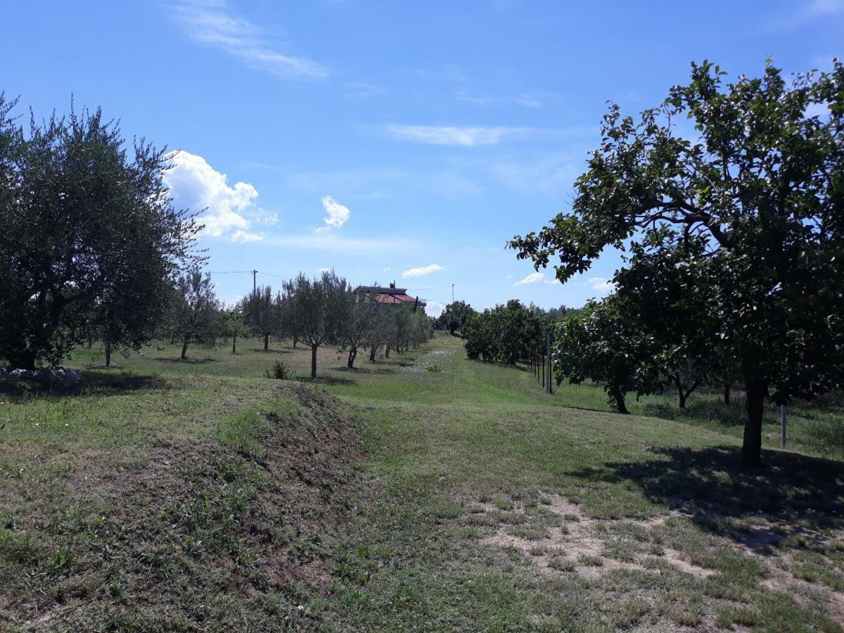 فيلا House Barizoni أنكاران المظهر الخارجي الصورة