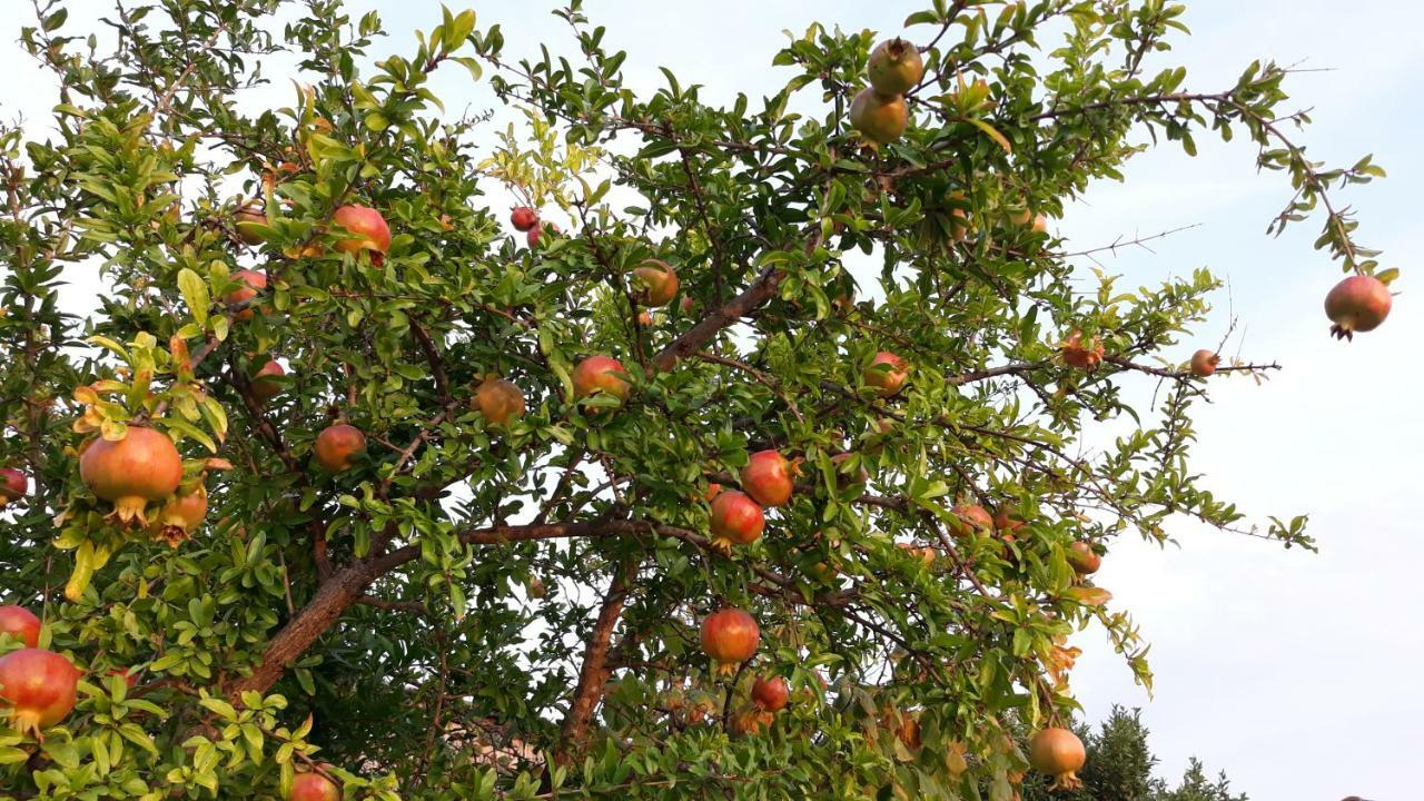 فيلا House Barizoni أنكاران المظهر الخارجي الصورة