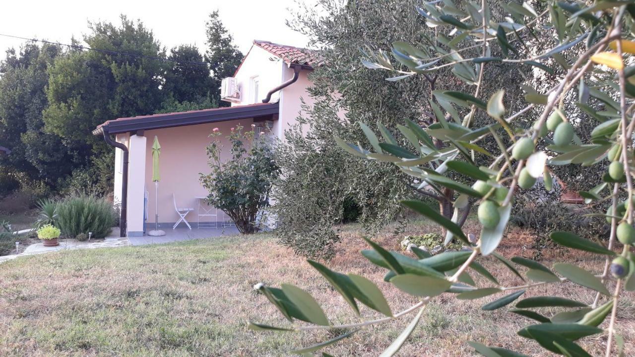 فيلا House Barizoni أنكاران المظهر الخارجي الصورة