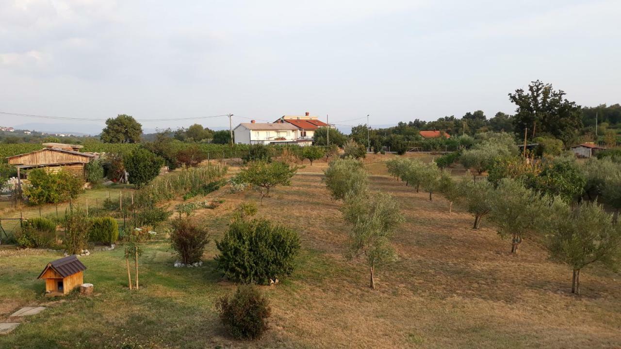 فيلا House Barizoni أنكاران المظهر الخارجي الصورة